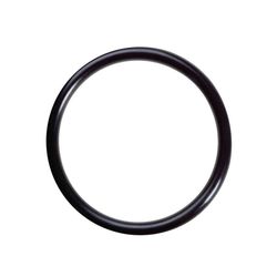 Nardi Part OR028-010
(Filter Body O-Ring)